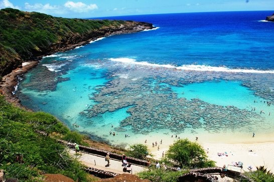 
                    
                    Zatoka Hanauma
                    
                    
